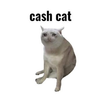 A simple image of a cat sitting on a white background with the text 'cash cat' written above it.