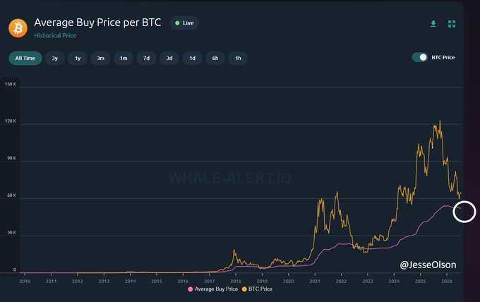 A line chart from Whale-Alert.io showing the "Average Buy Price per BTC" with historical BTC price from 2010 to 2025, highlighting how the pink average buy price line has trended downward to $52,171 against BTC's recent price action, illustrating typical bear market behavior.