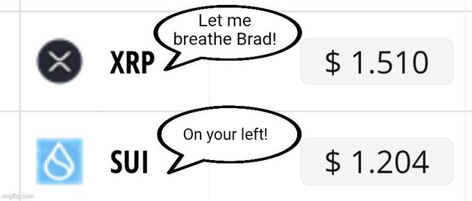 A cryptocurrency meme showing XRP at $1.510 saying 'Let me breathe Brad!' and SUI at $1.204 replying 'On your left!'.