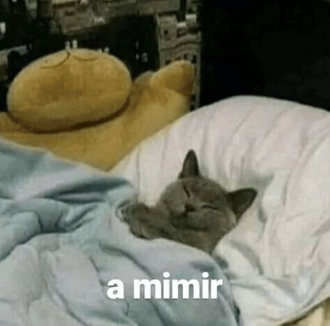 A small gray kitten sleeps under a blanket next to a large plush cat, with the caption 'a mimir' at the bottom.
