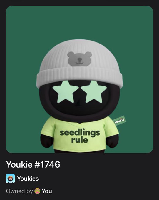 Profile card for a digital collectible named 'Youkie #1746' from the 'Youkies' collection, showing a black character wearing a green 'seedlings rule' shirt and a white beanie with a bear face, marked as 'Owned by You'.