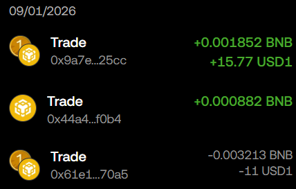 A cryptocurrency transaction history dated 09/01/2026 shows three trades in BNB and USD1, with two profitable trades (+15.77 and +1.78 USD1) and one losing trade (-11 USD1).