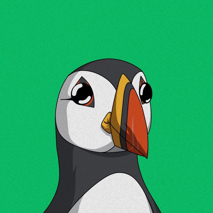 A cartoon illustration of a puffin with a large orange and yellow beak set against a solid green background.