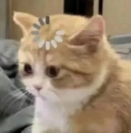 A close-up photo of an orange and white cat with a slightly melancholic expression, featuring a loading/spinning icon digitally added above its head.