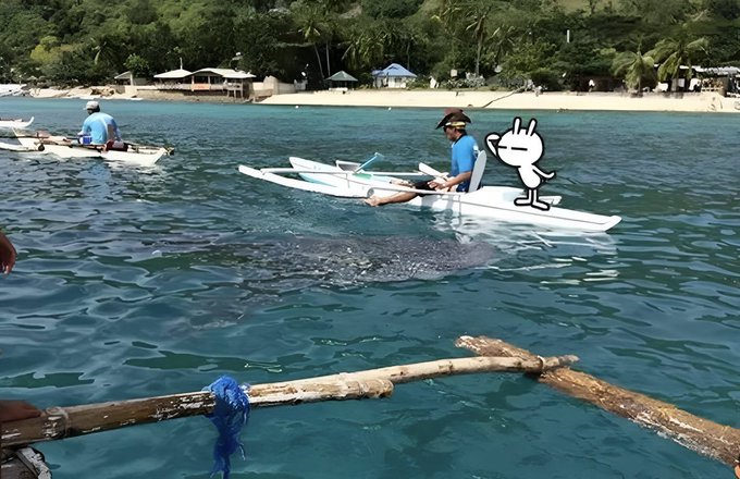 A view from a small boat showing several people paddling outrigger canoes on clear blue water, with a large shape resembling a whale visible beneath the surface and a cartoon cat sticker overlaid on the image.