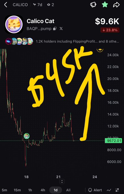 A mobile screenshot of the Calico Cat token ($CALICO) shows a price of $9.6K with a 23.9% decline, while handwritten yellow text reading 'SUSK' with a smiley face and an upward arrow is drawn over the candlestick chart.