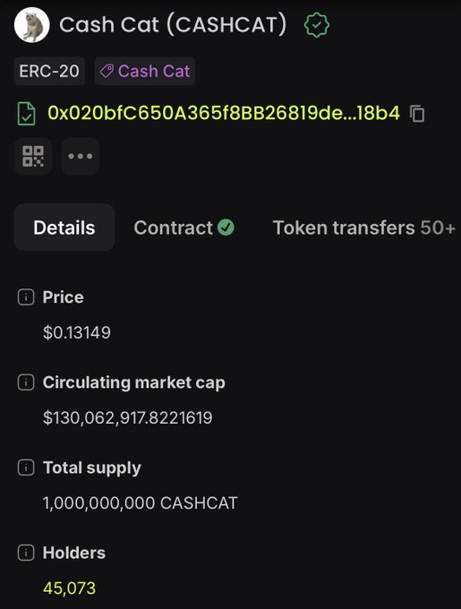 A token details page for Cash Cat (CASHCAT), an ERC-20 token priced at $0.13149 with a circulating market cap of $130,062,917 and 45,073 holders.
