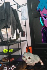 A small dog wearing a pearl necklace sits on a floor next to a shoe rack holding sneakers and hanging clothes, with a partially visible neon-style graphic of a blue-haired character on the right.