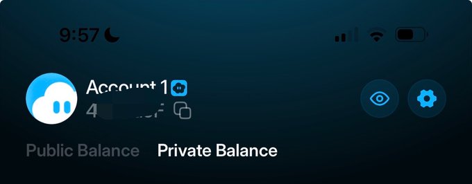 The image shows a screenshot of a privacy screen showing an account with private balance set as "on", and other settings like "profile picture" and "profile". The text above the screen reads, "Account 1: Private Balance Privacy on solana is currently underrated, wouldn't stay this way for too long."