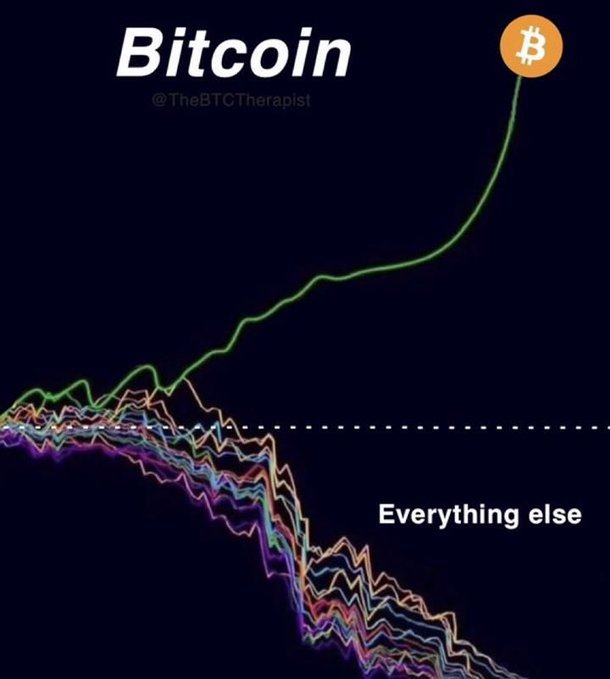 A financial chart showing 'Bitcoin' soaring upwards in green while 'Everything else' sharply declines.