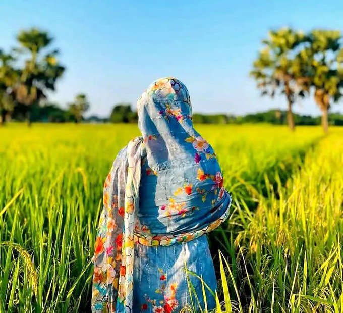 A woman in a blue floral dress and matching headscarf stands in a vibrant green rice field with palm trees in the background.