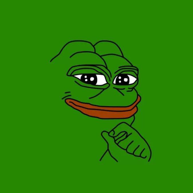 A digital illustration of the Pepe the Frog meme character with a smug expression and pointing finger, drawn in a simple line-art style on a solid green background.