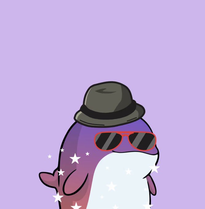 A cute cartoon dolphin wearing a black bucket hat and red-framed sunglasses, surrounded by sparkling white stars on a light purple background.