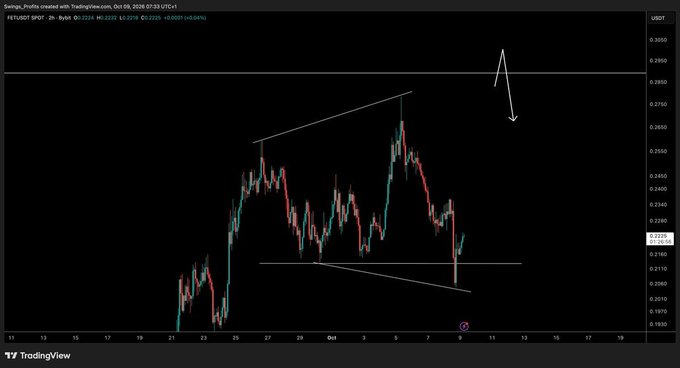 A TradingView chart of FETUSDT perpetual futures showing a bearish wedge/pennant pattern with a downward arrow prediction, with price currently around 0.2233.
