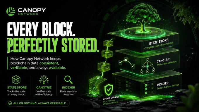 Canopy Network promotional graphic titled 'EVERY BLOCK. PERFECTLY STORED.' explaining how it keeps blockchain data consistent, verifiable, and always available through State Store, Canotrie, and Indexer.
