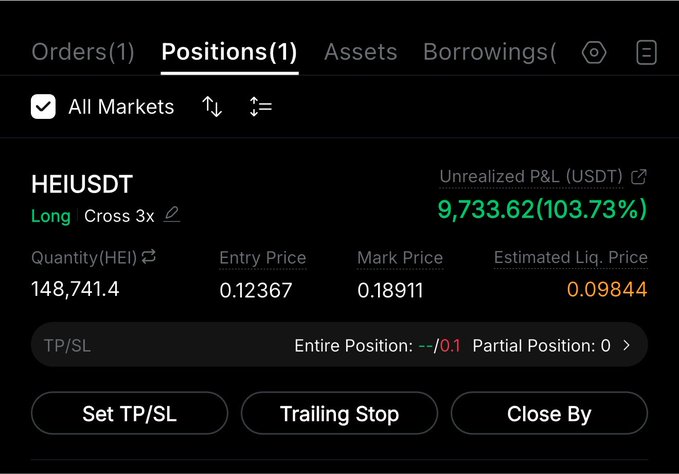 A trading interface displays a long position on HEIUSDT with a 103.73% unrealized P&L of 9,733.62 USDT, showing an entry price of 0.12367 and a current mark price of 0.18911. The screenshot aligns with the post's claim of being "Up 100% on $HEI," visualizing the substantial gains from the leveraged long trade.