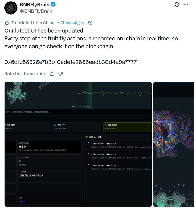 Twitter post from BNBFlyBrain (@BNBFlyBrain) announcing an updated UI with fruit fly actions recorded on-chain in real time, including a transaction hash and screenshots of the new interface.