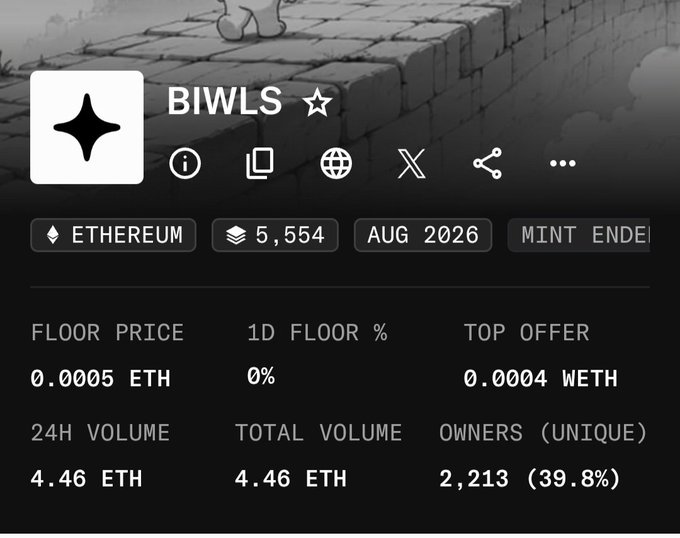 Screenshot of an NFT collection page called 'BIWLS' on Ethereum, showing 5,554 items minted in August 2026, with a floor price of 0.0005 ETH and 2,213 unique owners.