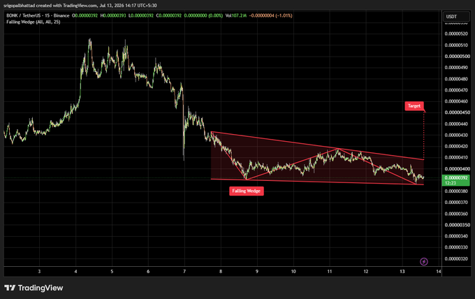 A TradingView chart of BONK/USDT on Binance showing a falling wedge pattern with a target line, dated July 13, 2024.