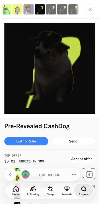 A mobile app screenshot displays an NFT called 'Pre-Revealed CashDog' on OpenSea, showing a darkened dog image with a top offer of $6.01.