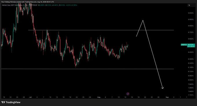 A TradingView chart of USDT.D (USDT Dominance) shows price action with an arrow highlighting an anticipated surge toward the ~8.7% resistance level before a sharp reversal, supporting the post's claim that USDT dominance's upcoming peak is driving current market dumps and signaling a future long opportunity.