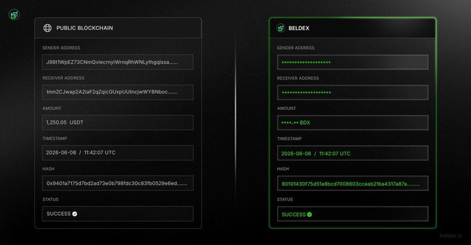 Cryptocurrency transaction comparison showing a USDT transfer on the Public Blockchain and BDX transfer on Beldex, both timestamped 2026-06-08 11:42:07 UTC and marked as SUCCESS.
