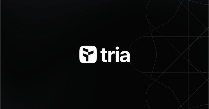 The image features a black background with white text that reads "Tria" at the top of the frame. The text is capitalized, making it stand out against the dark backdrop. Below this, there are two lines of text written in a smaller font size, which read "Most crypto projects focus on rewards. But what keeps me interested in @useTria and @wallchain is what happens beyond the rewards." This message seems to be related to the concept of cryptocurrency or blockchain technology, as it highlights the importance of transparency and trust within these digital systems. The image also includes a logo for "@useTria" and "@wallchain", which are likely associated with the platform or project being discussed in the post.