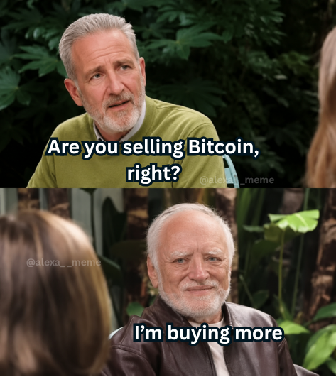 A two-panel meme featuring two older men in a jungle setting, with the top panel saying 'Are you selling Bitcoin, right?' and the bottom panel replying 'I'm buying more', watermarked @alexa__meme.