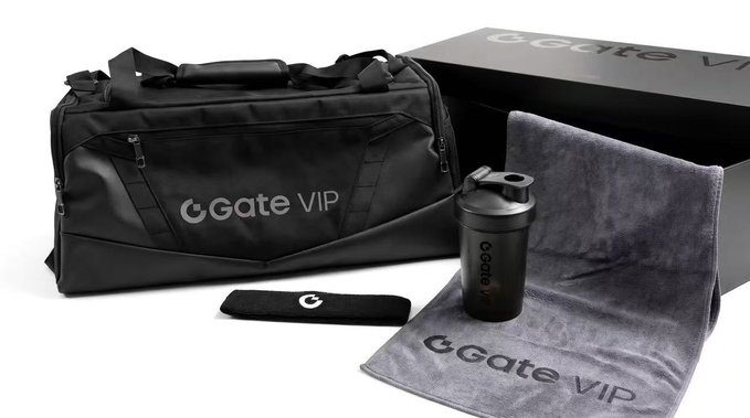 A product display featuring a black duffel bag, a gray towel, a black shaker bottle, and a headband, all branded with the 'Gate VIP' logo.