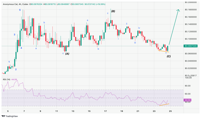 A 4-hour TradingView chart of the cryptocurrency Anonymous Cat ($ZCAT/USDT) labeled with Elliott Wave counts (1-5 for wave (A), then a-b-c waves forming wave (B), with a final wave (C) labeled at the recent lows), showing a +19.39% gain with price at $0.0807345 and RSI at 44.00, supporting the post's claim of a potential bottom forming on the token.