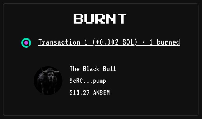 A digital "BURNT" record showing Transaction 1 (+0.002 SOL) with 1 token burned from "The Black Bull" token (contract ending 9cRC...pump), tallying 313.27 ANSEM burned, which aligns with the post's "Day 10 burning $ANSEM" announcement celebrating ongoing token burns.