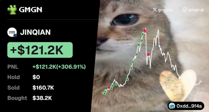 A promotional image from GMGN showing a $121.2K gain (+306.91%) on the JINQIAN token, featuring a close-up of a cat with a profit chart overlaid on its face. The image appears to mock or critique crypto trading by presenting the "gains" as cute or celebratory, contrasting with the post's accusation of "market manipulation" — implying the displayed returns may be artificially inflated or deceptive rather than legitimate.