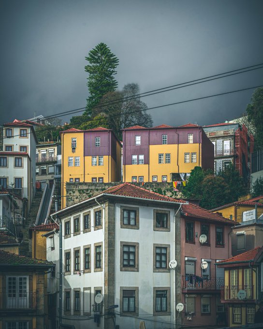 A moody, atmospheric shot of Porto's hillside neighborhood featuring colorful stacked townhouses beneath an overcast sky, with a striking tall pine tree rising above the rooftops. The image captures the picturesque charm of Portugal's coastal city, embodying the post's travel photography theme.