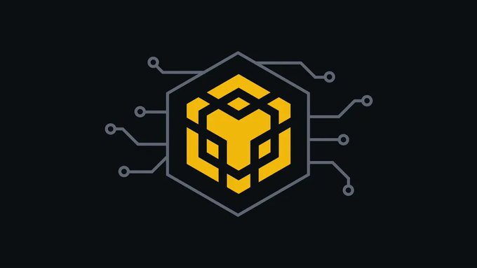 The image shows the BNB Chain logo, a yellow stylized cube design within a gray hexagonal frame with circuit-like lines extending outward on a black background. This logo represents BNB Chain, the blockchain network referenced in the post about the Pascal hard fork upgrade being activated on its testnet.