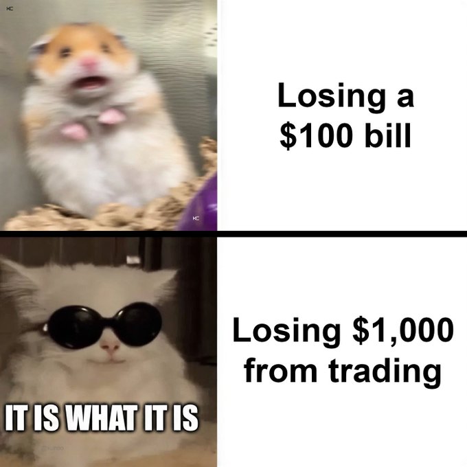 A two-part meme contrasts a panicked hamster labeled "Losing a $100 bill" with a cool, sunglasses-wearing cat captioned "Losing $1,000 from trading" and "IT IS WHAT IT IS," illustrating how repeated trading losses lead to desensitization and acceptance of bigger financial hits.