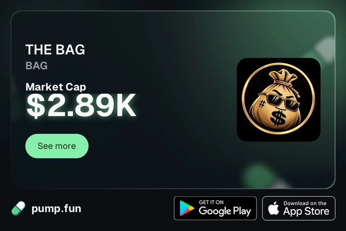 A promotional graphic for a cryptocurrency token called 'THE BAG' (ticker: BAG) on pump.fun, showing a market cap of '$2.89K' and a money bag mascot logo.