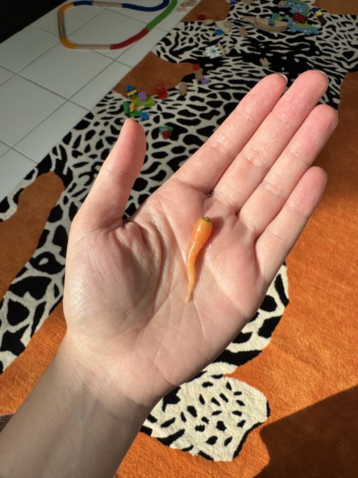 A small orange chili pepper rests in the palm of a hand, with a black and white animal print rug and colorful toy blocks visible in the background.