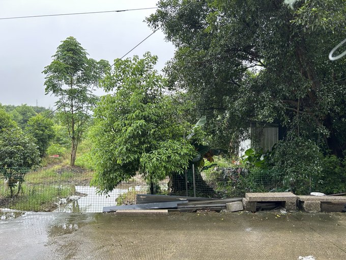 A rainy, lush green rural scene with trees, wet pavement, and stacked stone slabs in the foreground reflects the peaceful, restful atmosphere of returning home to be a daughter rather than a wife or mother, as described in the post. The quiet, natural setting mirrors the sense of relaxation and reconnection with family.