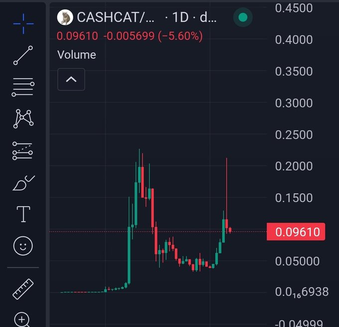 A daily candlestick chart of the CASHCAT token showing a price of 0.09610 (-5.60%), with a sharp spike to ~0.20 followed by a steep drop to around 0.05, illustrating the post's story of a Chinese trader who aggressively DCA'd into a 200M market cap token with $200K only to watch it lose roughly half its value overnight.