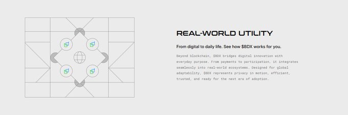 A webpage section titled 'REAL-WORLD UTILITY' with an illustration of a globe connected to four nodes, discussing how 'SBDX bridges digital innovation with everyday purpose' across payments and ecosystems.