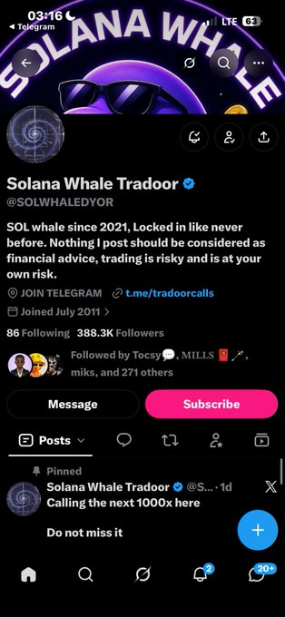 A screenshot of a Twitter/X profile for 'Solana Whale Trader' (@SOLWHALEDYOR), showing a bio stating 'SOL whale since 2021. Locked in like never before. Nothing I post should be considered as financial advice', with 388.3K followers and a pinned post mentioning 'Calling the next 1000x here'.