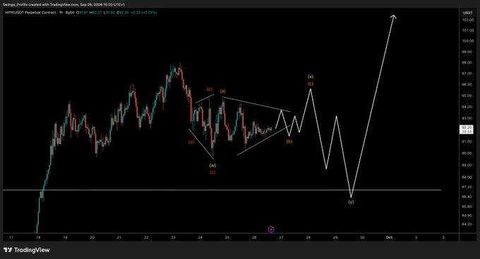 A TradingView chart of the Hyperliquid (HYPE) 1H perpetual contract on Bybit shows an Elliott Wave analysis with labels (b), (a), (c), (i), (ii), (iii), and (iv), projecting a final downward leg toward approximately $85.50 before a strong bullish reversal toward $102, reflecting the post's focus on the critical upcoming leg down.