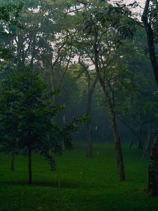 The image shows a lush green park with tall trees surrounding a grassy field. The scene appears to be captured during the day under cloudy skies, creating an atmosphere of tranquility and calmness. In the background, there are two people walking through the park, adding a sense of liveliness to the serene setting. The post highlights the benefits of using a single trading platform for accessing various equity markets, such as SPY, QQQ, and EWY, along with crypto options. This allows users to focus on their investments without needing to switch between different platforms or worry about market fluctuations.