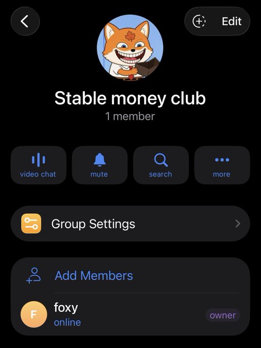 A screenshot of a Telegram group chat called 'Stable money club' with 1 member, featuring a cartoon fox avatar holding money, and showing the owner 'foxy' as the only online member.