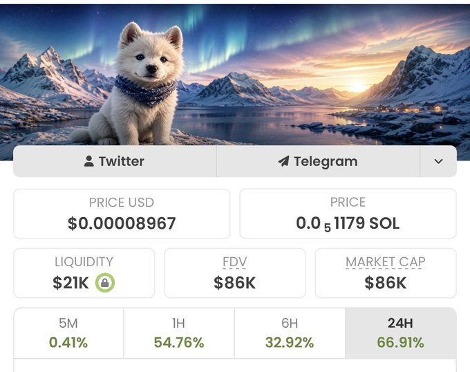 A cryptocurrency token profile page featuring a fluffy white puppy wearing a blue scarf against a snowy mountain and aurora backdrop, showing a price of $0.00008967 (0.051179 SOL) with $21K liquidity and 66.91% gains over 24H, while the accompanying post repeatedly shares the contract address "2jrPeHZ9wt2pBTxPEuyNzDtJRTQDEbWhSoXYWsLHpump" in a promotional pitch claiming 1000x potential.