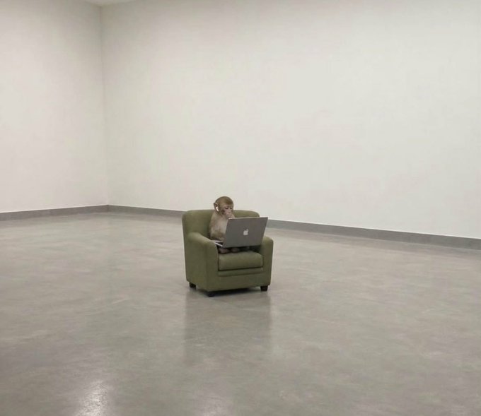 A small monkey sits alone in a green chair in a vast empty white room, working on a silver Apple laptop.