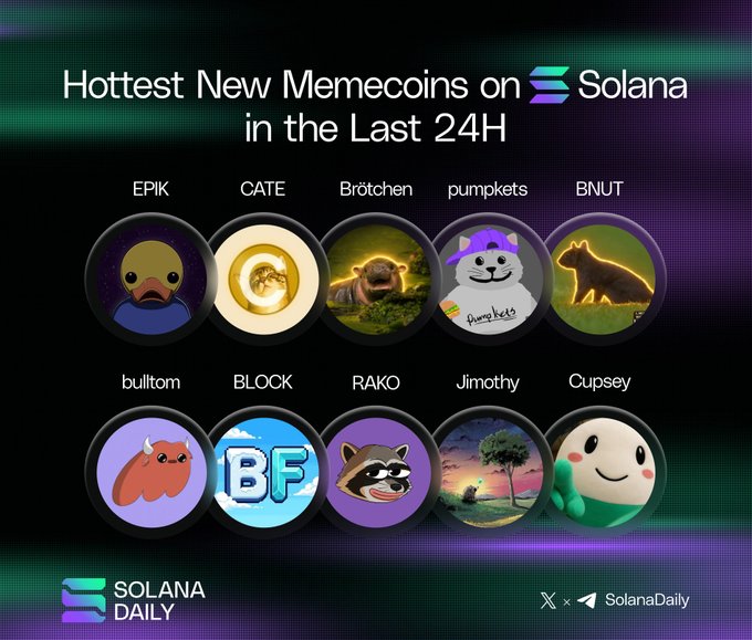 A graphic from Solana Daily titled "Hottest New Memecoins on Solana in the Last 24H" showcases ten circular token icons including EPIK, CATE, Brötchen, pumpkets, BNUT, builtom, BLOCK, RAKO, Jimothy, and Cupsey. Brötchen, featuring an adorable hedgehog image, is highlighted as one of the featured "sexiest and cutest" memecoins, aligning with the post's call for community engagement and support for the token.