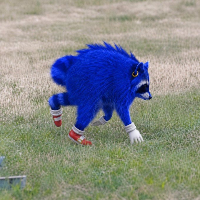 A blue, furry figure resembling a Sonic the Hedgehog character runs across the grass wearing red and white sneakers, a playful nod to the meme referencing "$Jimothy" as an undercover hedgehog trying to "go fast" like Sanic.