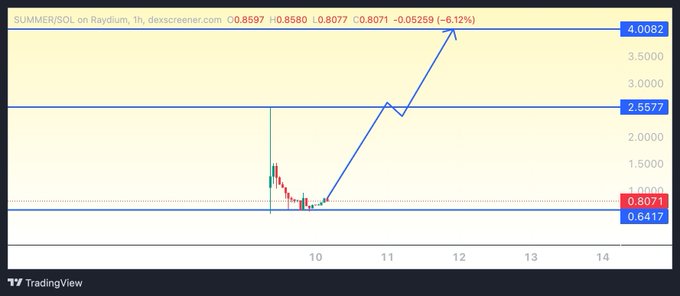 A TradingView chart shows $SUMMER/SOL on Raydium (1h timeframe) currently trading at 0.8071 (-6.12%), with the caption highlighting the token's parabolic upward trajectory from ~0.64 to recent highs near 4.00, illustrating the post's claim of strong growth momentum despite recent pullbacks.