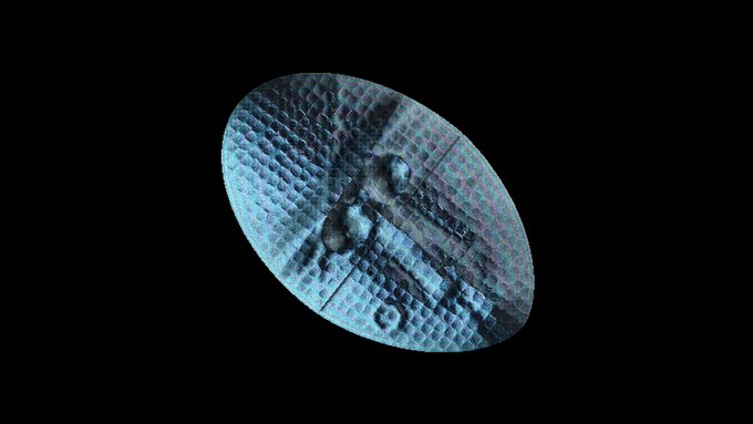 A grayscale oval-shaped 3D scan or hologram showing a textured surface with small protruding shapes against a black background.